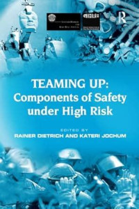 Image of Teaming up: components of safety under high risk